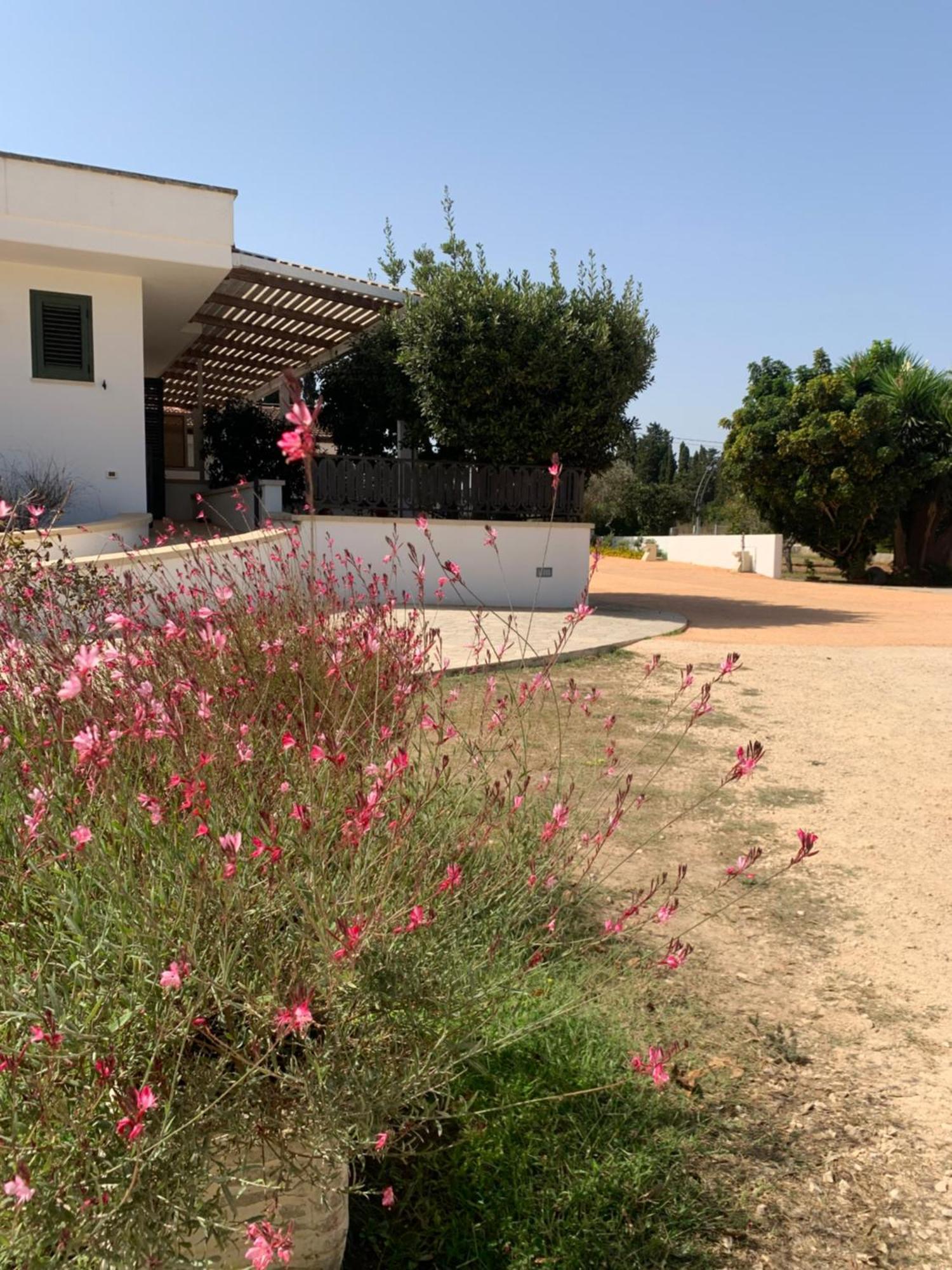 Agriturismo Fontanelle Otranto Eksteriør billede